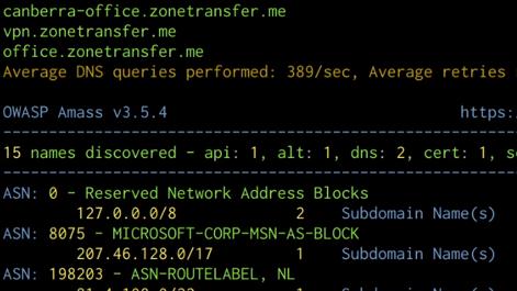 amass-subdomain-enumeration-output.png